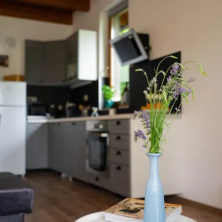 Apartment Mirtusz Vendeghaz